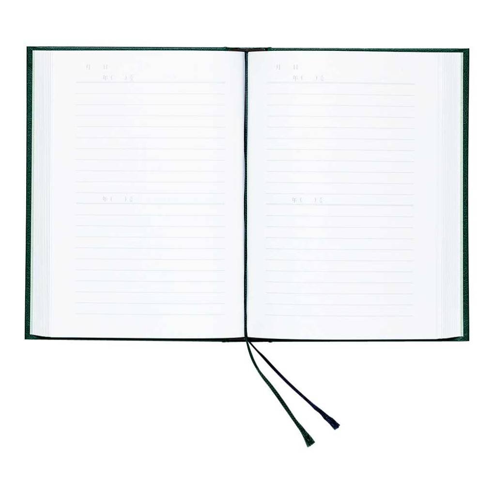 Amazon.co.jp: アピカ 日記帳 2年自由日記 横書き B6 緑 日付表示なし